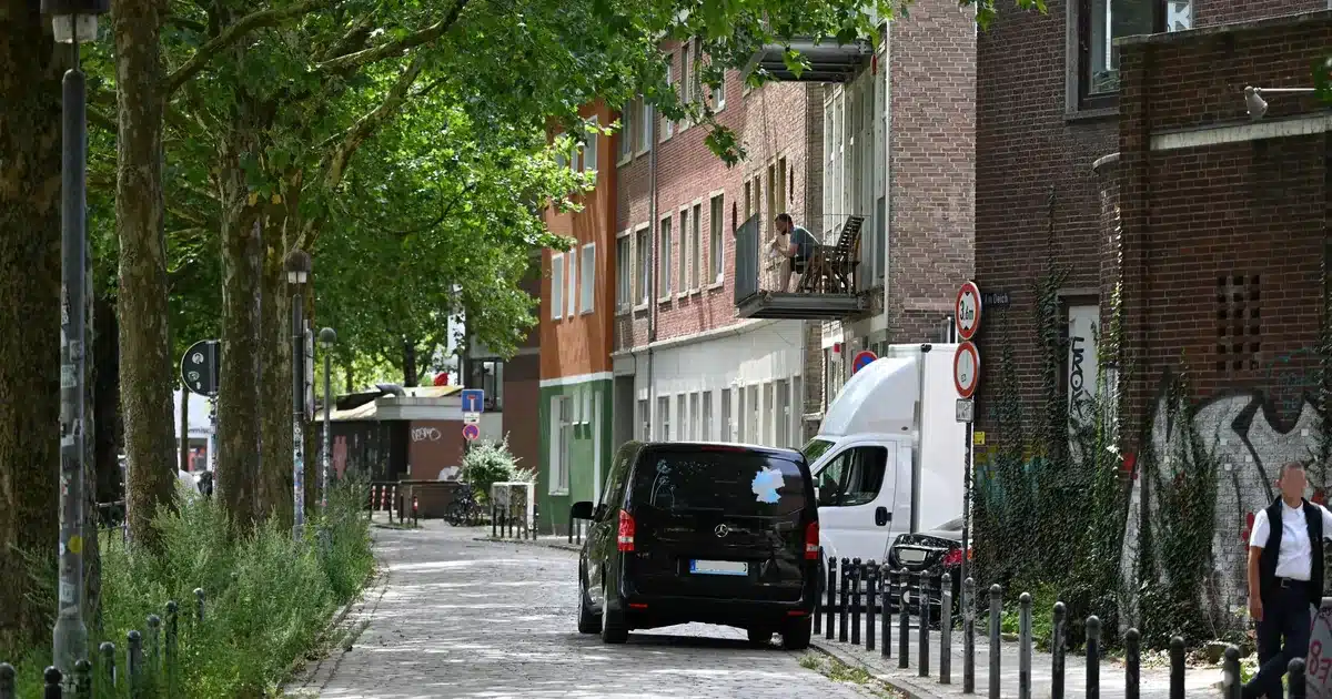 Von Bäumen gesäumte Wohnstraße mit Kopfsteinpflaster und parkendem Lieferwagen